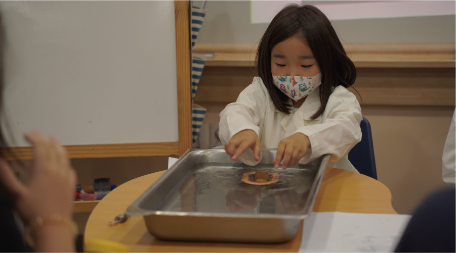 JCS Elementary Science Elementary school student conducting a science experiment during a regular curriculum science class