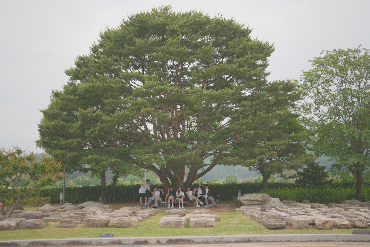 2025 Graduation Trips (G8_경주졸업여행 )